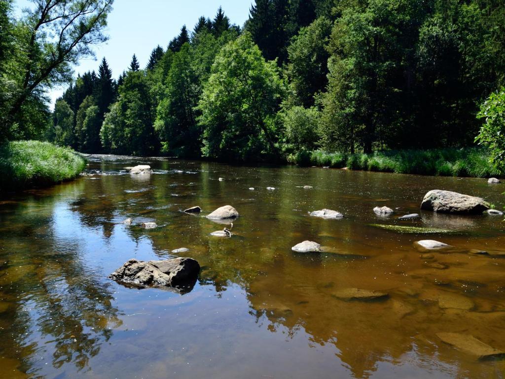 Ferienwohnungen Grill Schonberg  Bilik gambar